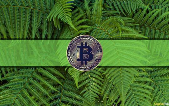 Bitcoin Fear and Greed Index Shows Greed as BTC Soared