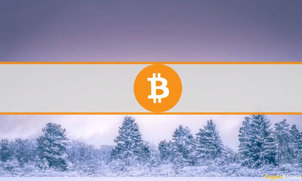 This Crypto Winter is Much Similar to Previous Ones