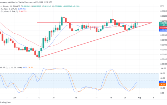 Solana Coin Value Forecast for August 1: SOL Market is Displaying Minimal Gains