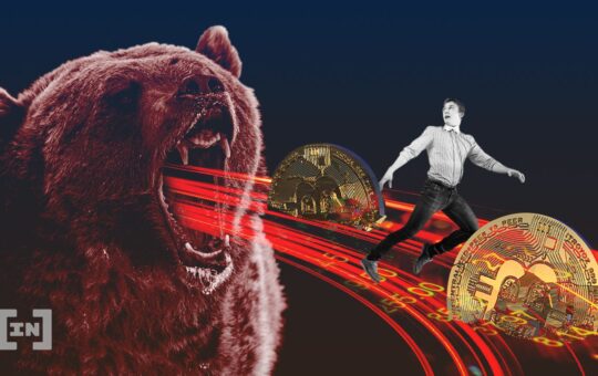 Crypto Winter Strategy: How to Survive Extended Market Declines