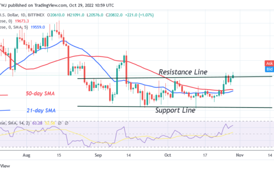 Bitcoin Price Prediction for Today, October 29: BTC Price Is Unable to Rise above $21K