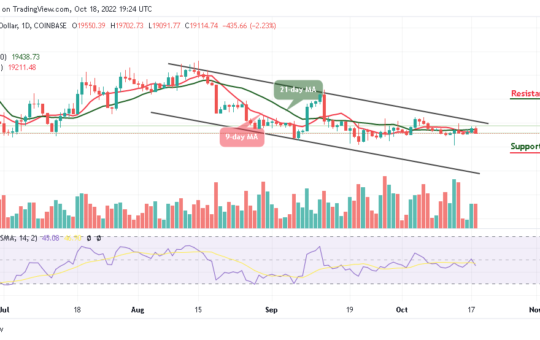 Bitcoin Price Prediction for Today, October 18: BTC/USD Resumes Bearish; Price Faces $19k Support