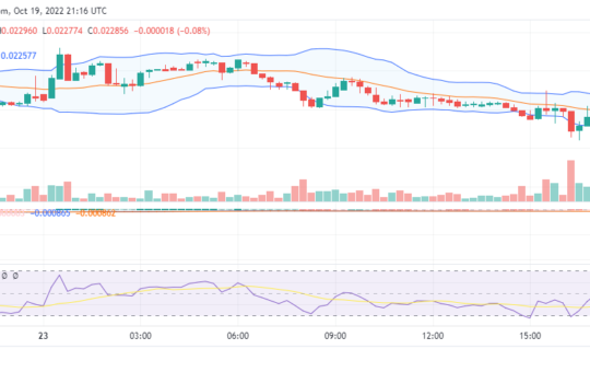 Tamadoge Price Prediction for 23rd of October: TAMA Targets New Support