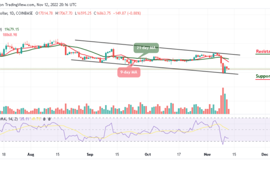 Bitcoin Price Prediction for Today, November 12: BTC/USD Risks Fresh Drop Below $16k