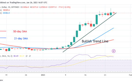 Bitcoin Price Prediction for Today, January 26: BTC Price Declines with Strong Rejection at $24K