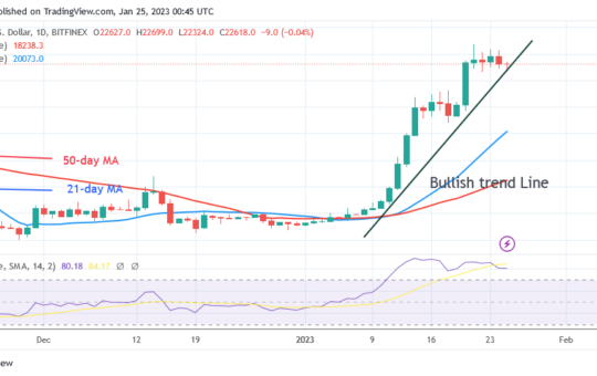 Bitcoin Price Prediction for Today, January 25: BTC Price Maintains Its Upward Trajectory as It Revisits $23K