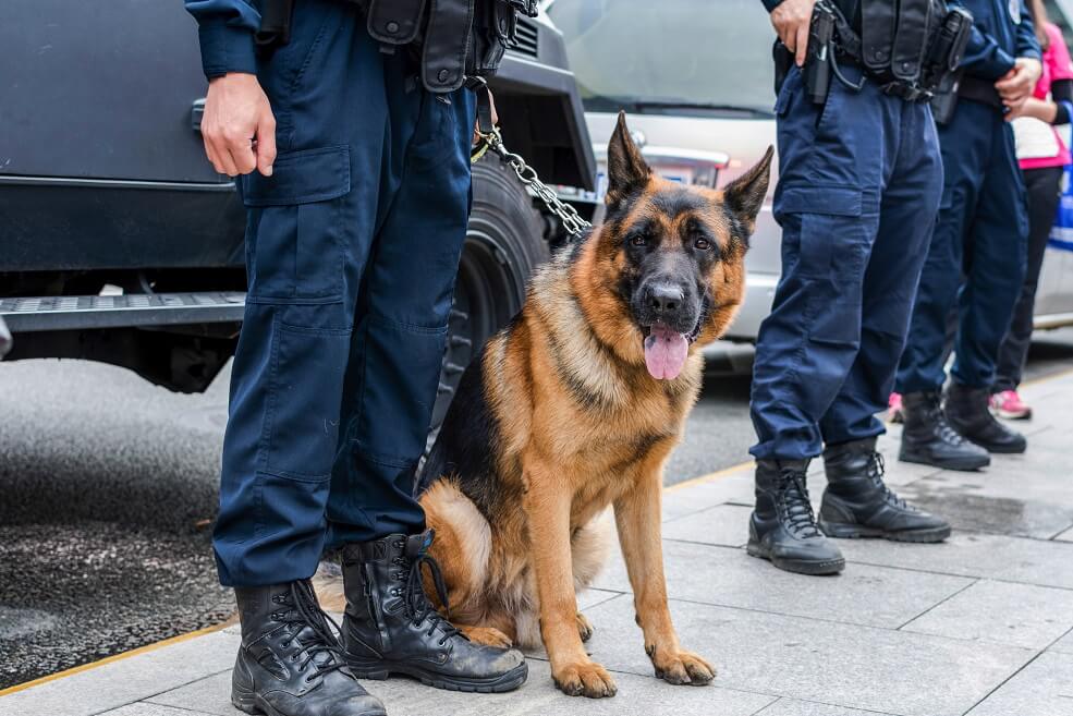 Nexo's Bulgarian Offices Raided, Samsung to List Bitcoin Futures Active ETF in Hong Kong, Trezor Saw a 300% Spike in Sales