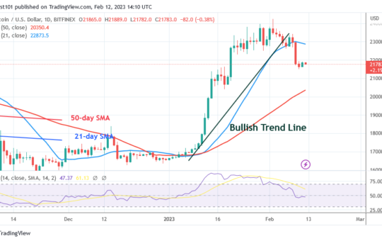 Bitcoin Price Prediction for Today, February 12: BTC Price Consolidates Above $21.7K for a Potential Gain