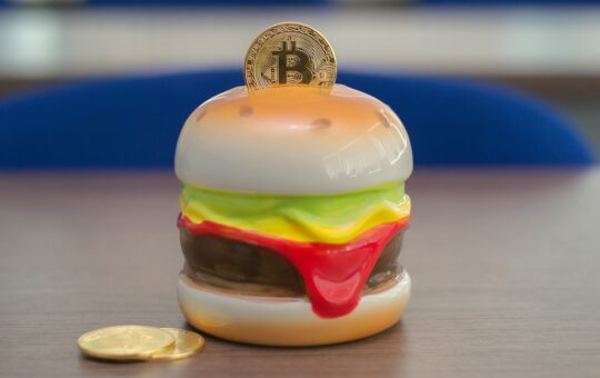 Belgium: Burger Chain to Accept Crypto Pay – Is Adoption on the Rise?