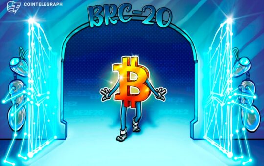 BRC-20 tokens are presenting new opportunities for Bitcoin buyers
