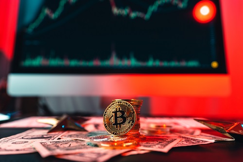 Is it for Bitcoin Dogs?