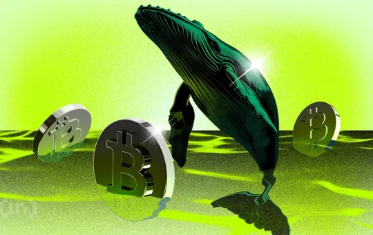 Bitcoin Whale “Mr. 100” Has Been Doxxed
