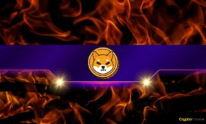 Is the SHIB Price Ready to Take off?