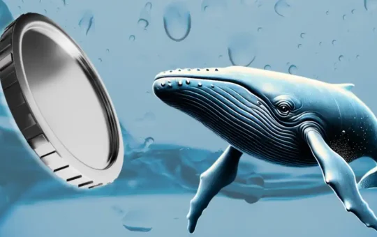 Whales Turn Bearish on This Popular Altcoin—Will it Plunge by 35% This Month?