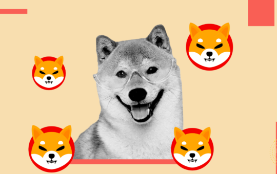 Shiba Inu