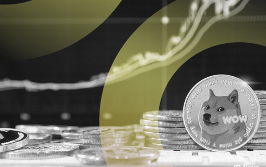 Dogecoin, XRP Lead Altcoins as Bitcoin Dominance Falls