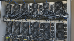 Inside the Powerhouse: The 50 Most Profitable Bitcoin Miners, Aug. 9-10, 2025