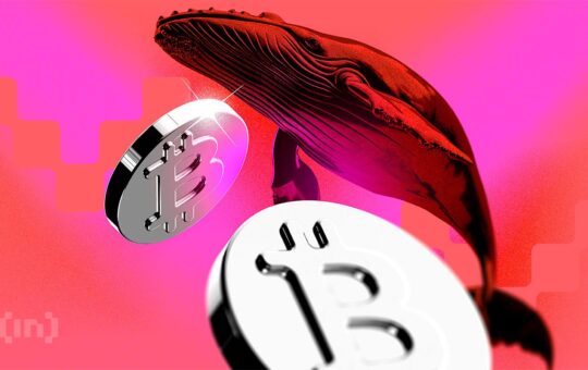 Bitcoin Downtrend Driven by Early Whale Selling, Says Ki Young Ju