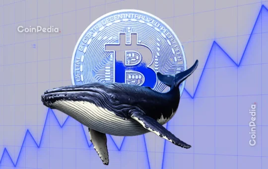 Is BTC Ready for Rebound?