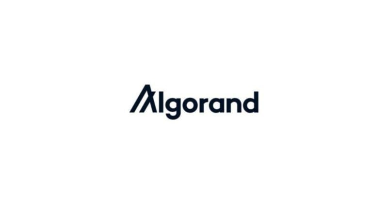 Algorand Foundation returns to the US, appoints new board for strategic blockchain initiatives