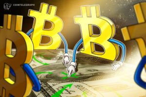 Will Bitcoin Rise Or Fall As A Result?